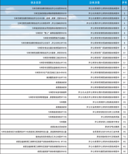 财务审计及涉税鉴证案例